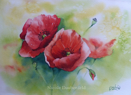 coquelicots6