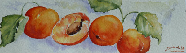 abricots